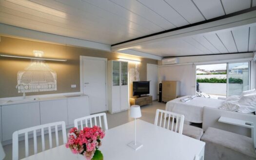 Newly Renovated Apartment with Panoramic Terrace Overlooking the Arno and Piazzale Michelangelo